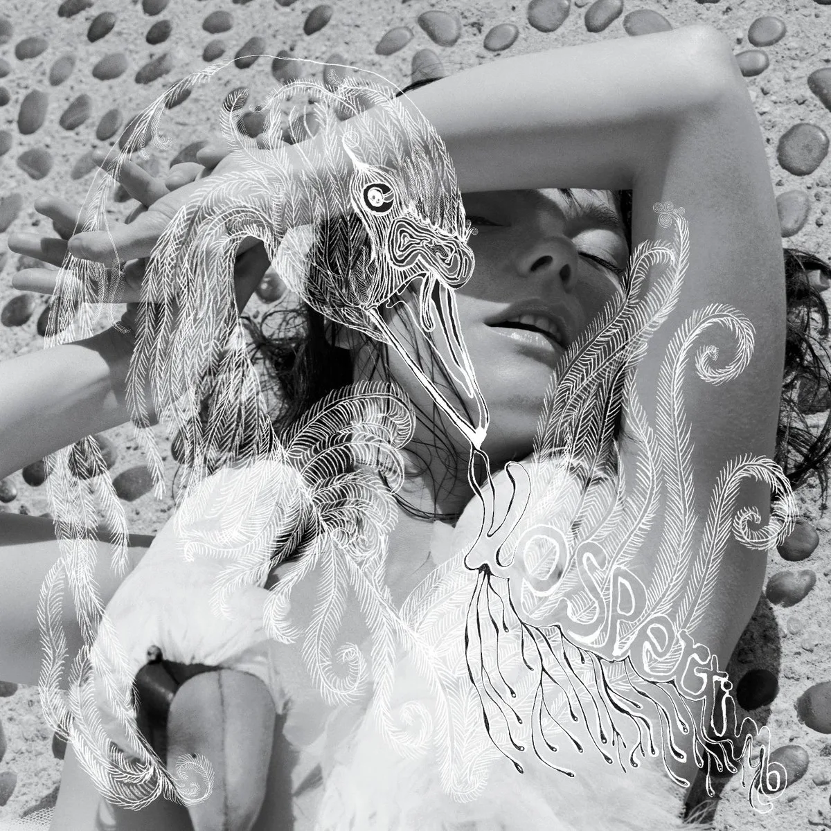 Vespertine 专辑封面