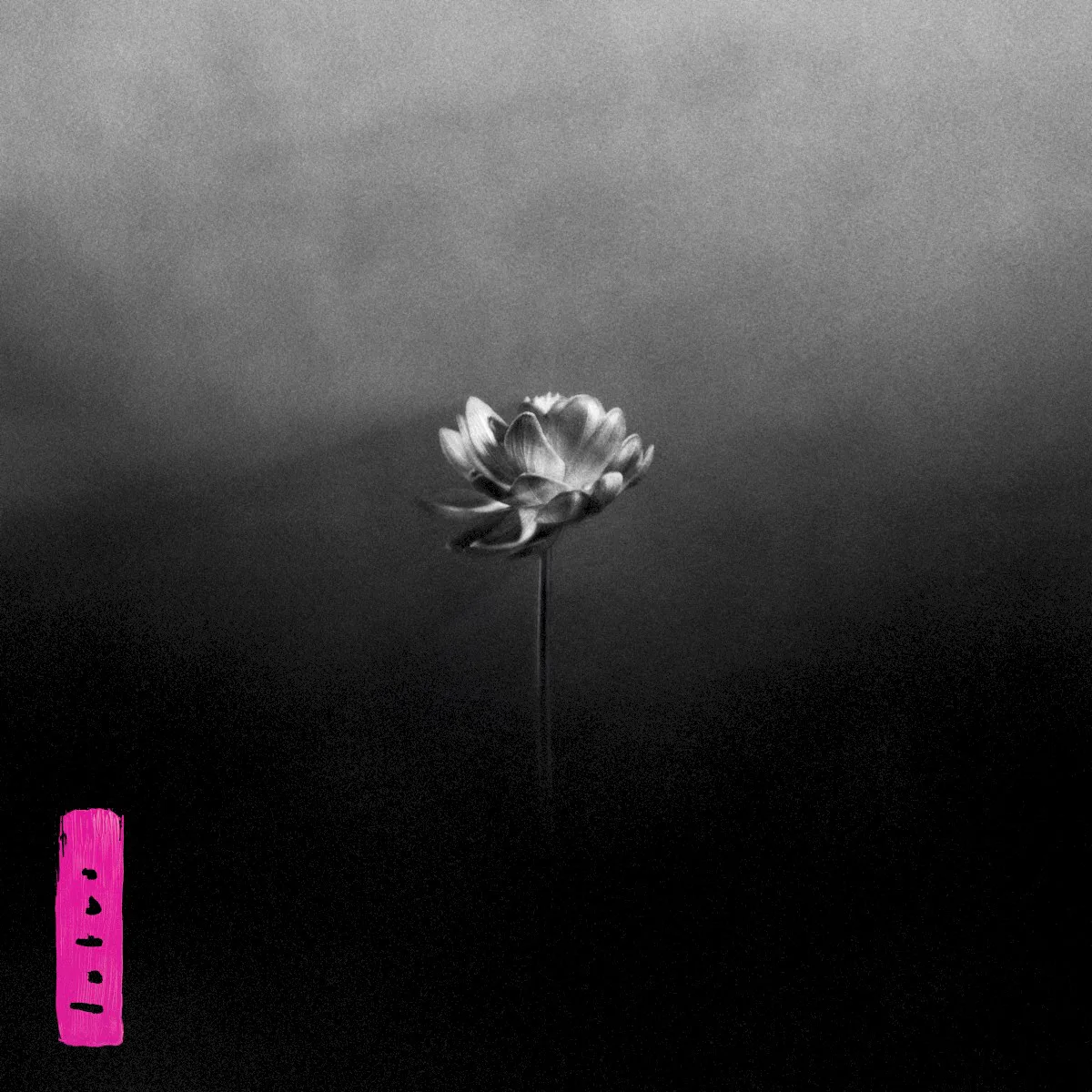 Lotus 专辑封面