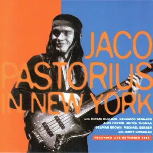 In New York cover