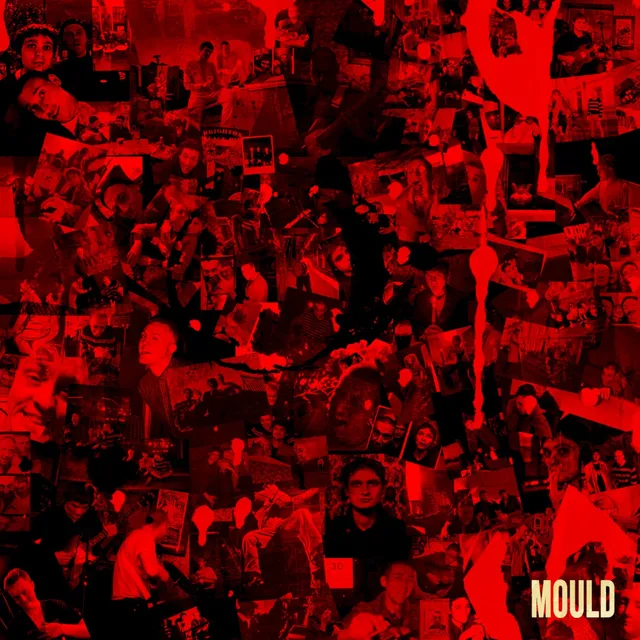 MOULD cover