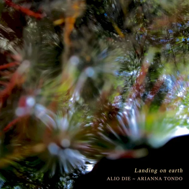 Landing on Earth 封面