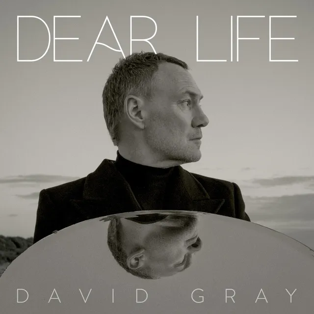 Dear Life 封面