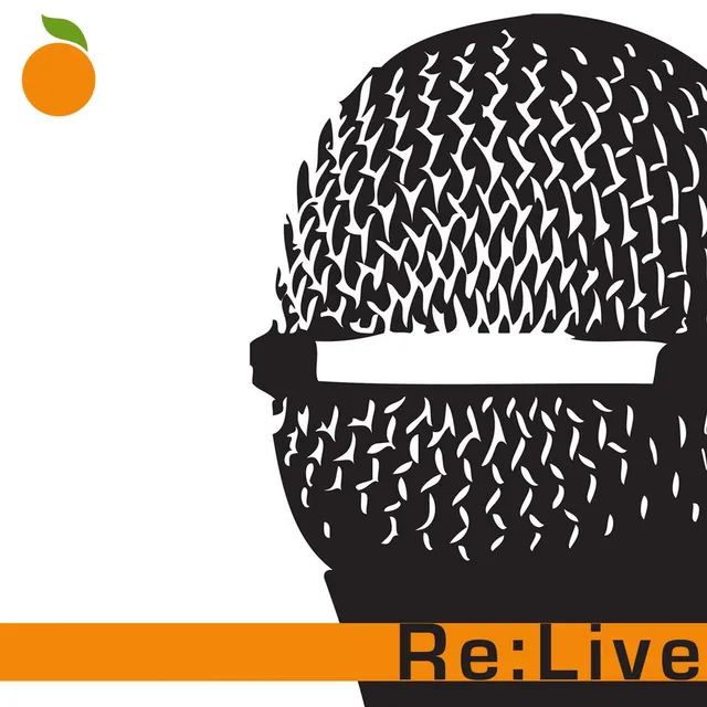 2004-08-11: Re-Live: Double Door, Chicago, IL, USA 封面