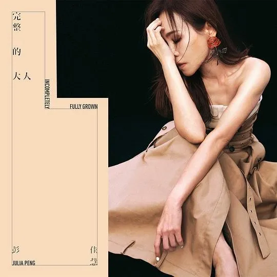完整的大人 封面
