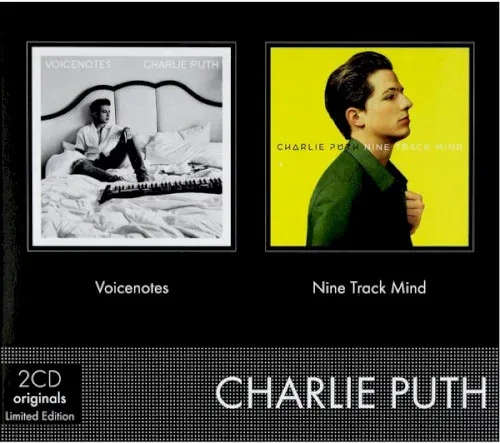 Voicenotes / Nine Track Mind 封面