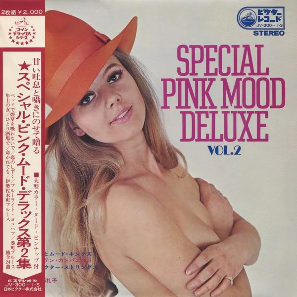 Special Pink Mood Deluxe Vol.2 cover