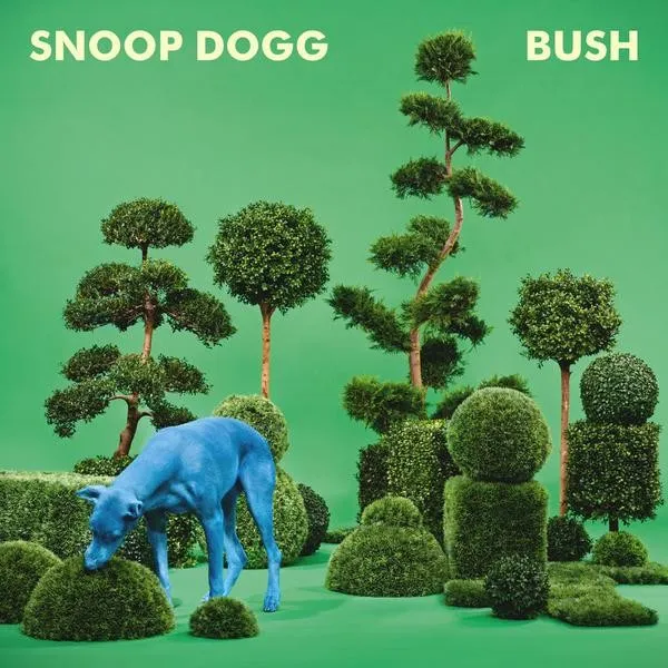 BUSH 封面