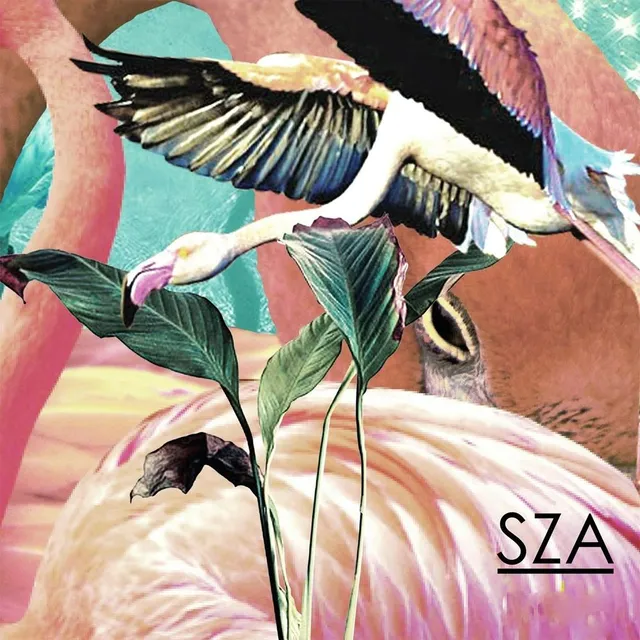 SZA 封面