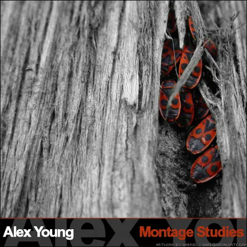 Montage Studies cover