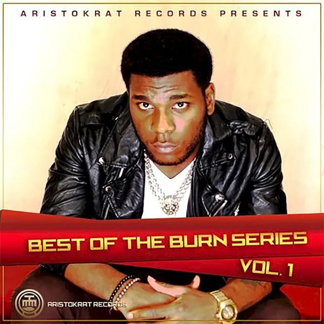 Best of Burn Series, Vol. 1 cover