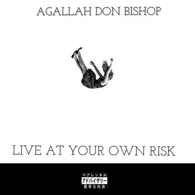Live at Your Own Risk 封面