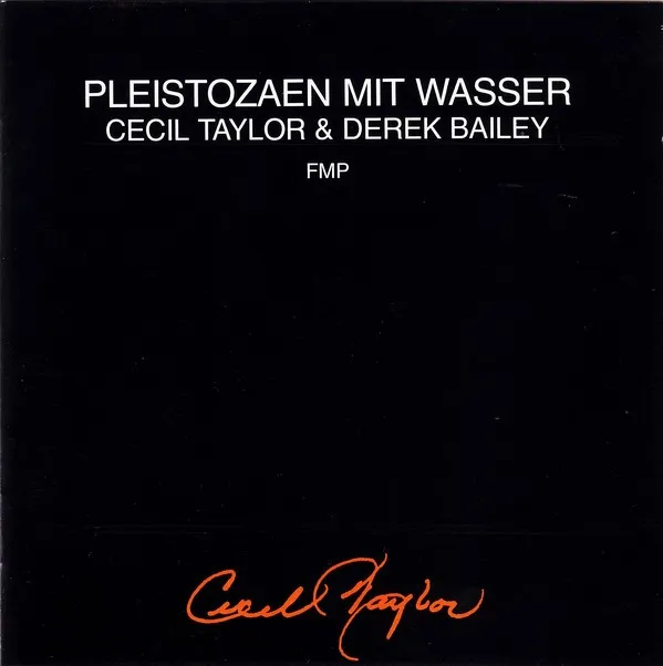 Pleistozaen mit Wasser 封面