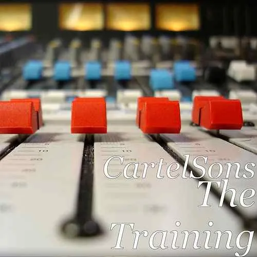 The Training cover