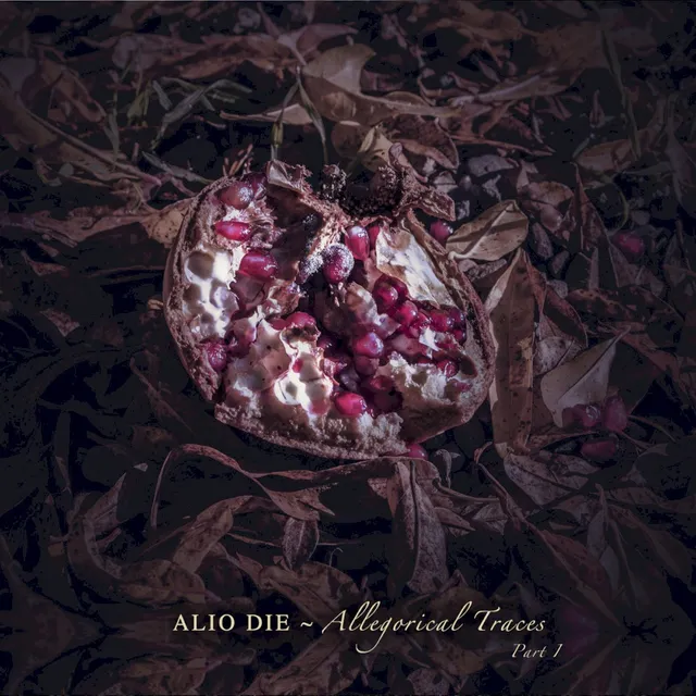 Allegorical Traces, Part I 封面