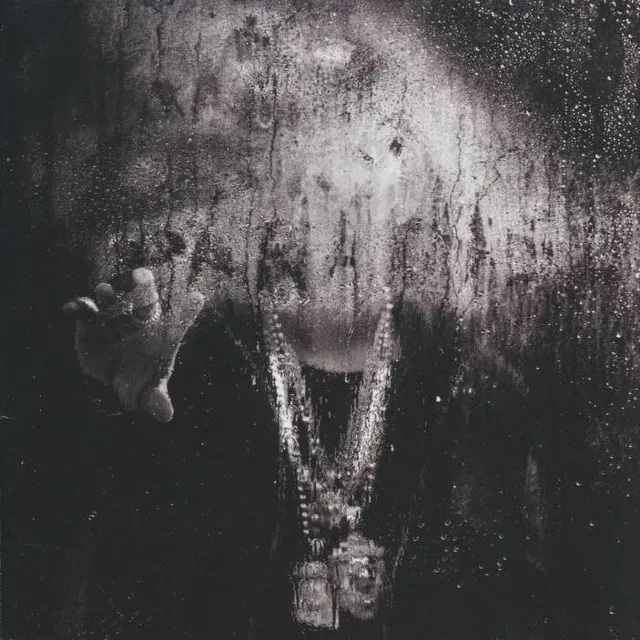 Dark Sky Paradise cover