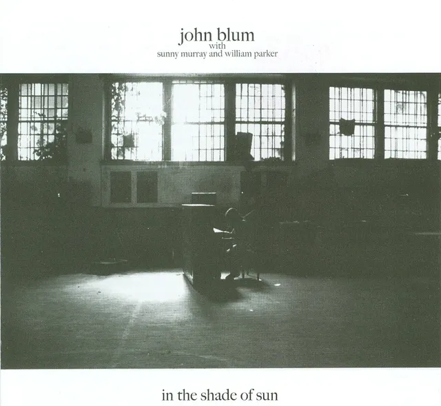 In the Shade of Sun 封面