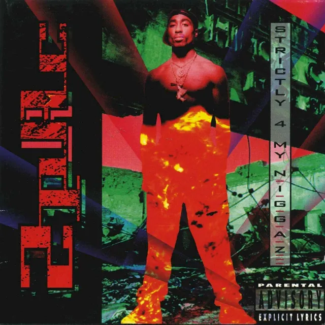 Strictly 4 My N.I.G.G.A.Z… cover
