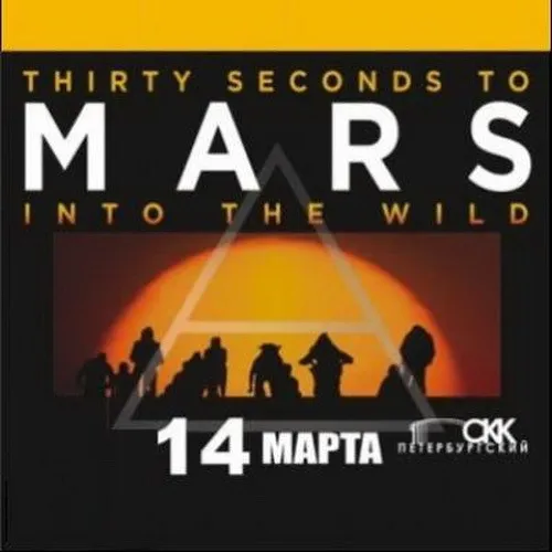 Into the Wild cover