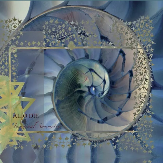 Imaginal Symmetry 封面
