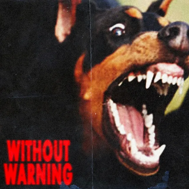 Without Warning cover