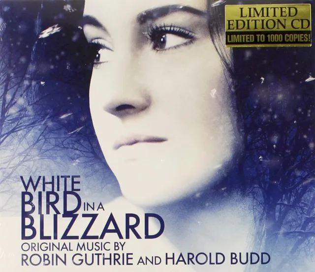 White Bird in a Blizzard 封面