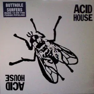 Acid House cover