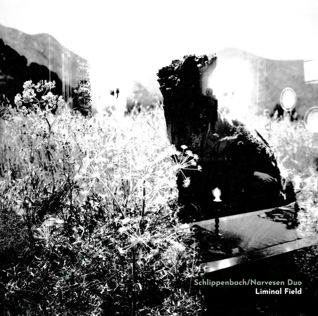 Liminal Field 封面