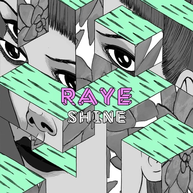 Shine cover