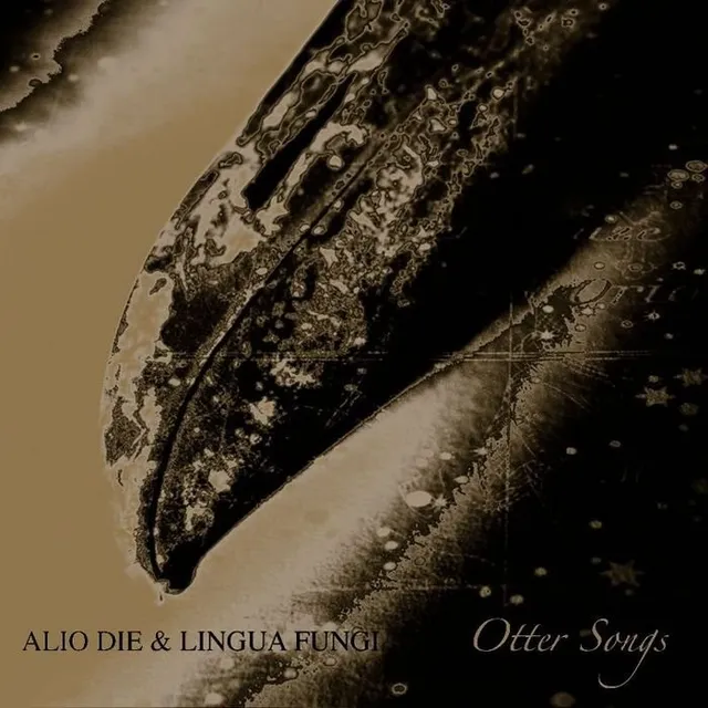 Otter Songs 封面