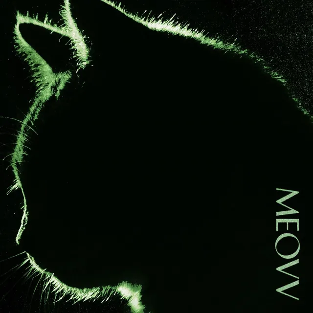 TOXIC cover