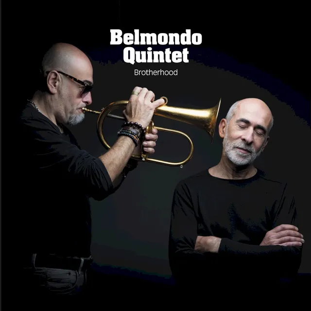 Brotherhood cover