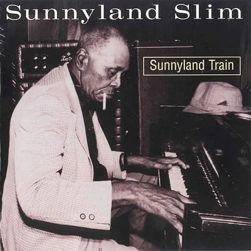 Sunnyland Train 封面