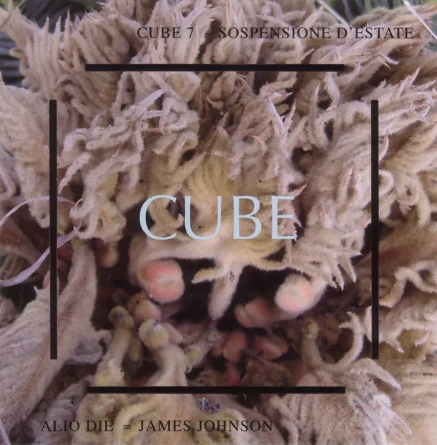 Cube 7: Sospensione d'estate 封面