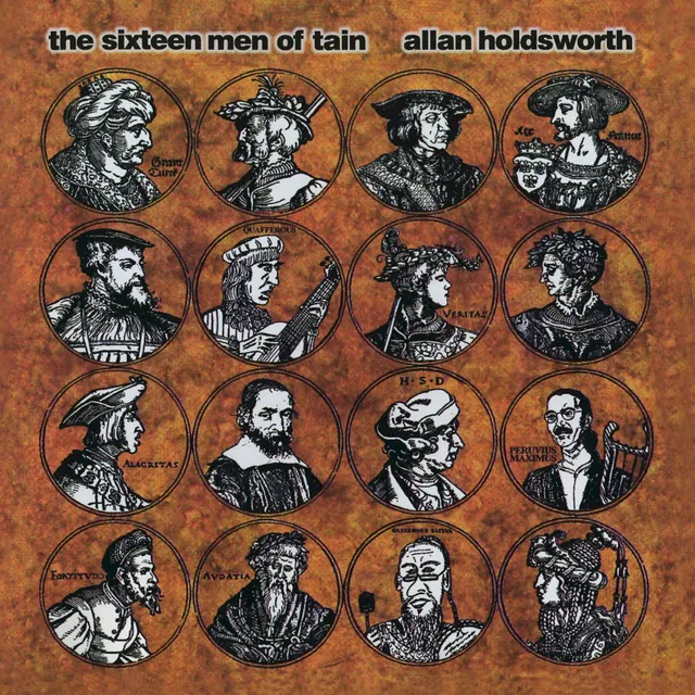 The Sixteen Men of Tain 封面