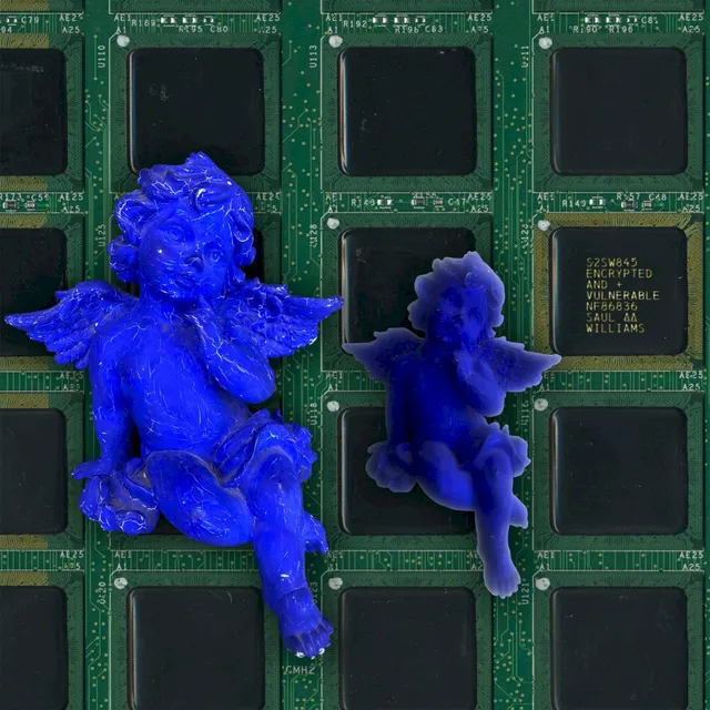 Encrypted & Vulnerable 封面