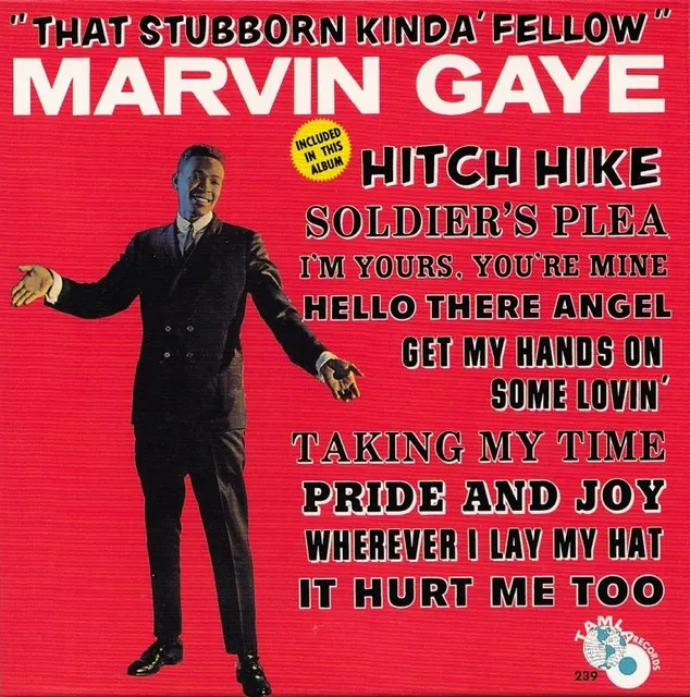 That Stubborn Kinda’ Fellow cover