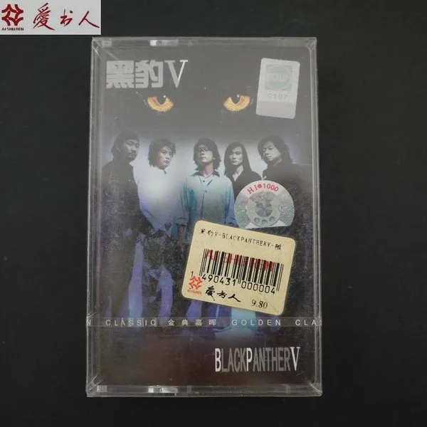 黑豹V 封面