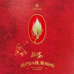 我們以後要結婚 cover