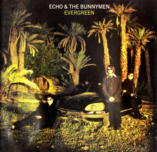 Evergreen cover