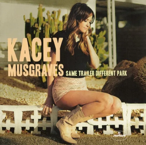 Same Trailer Different Park cover