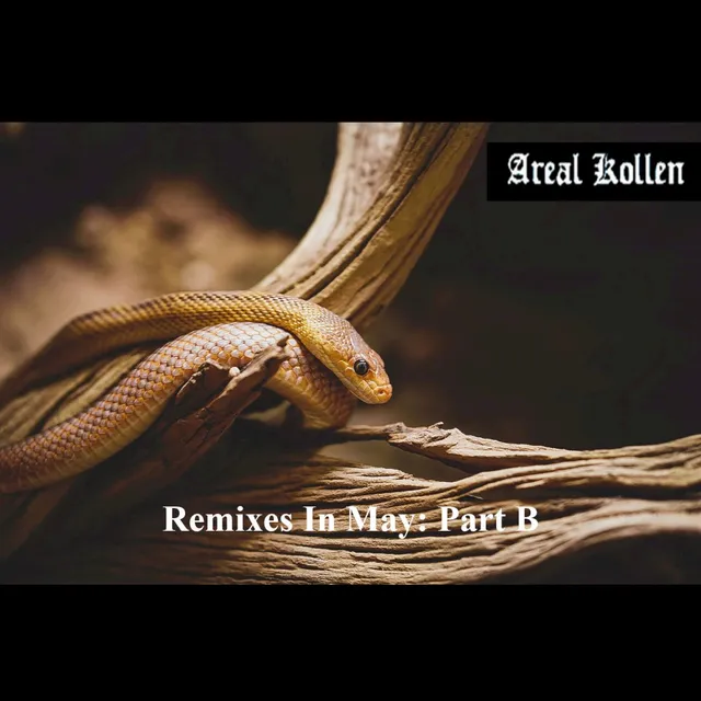 Remixes in May: Part B 封面