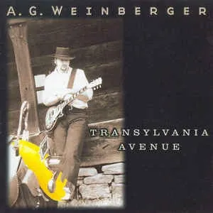 Transylvania Avenue 封面
