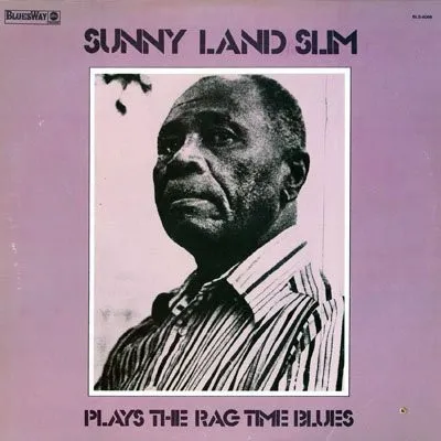 Plays The Rag Time Blues 封面
