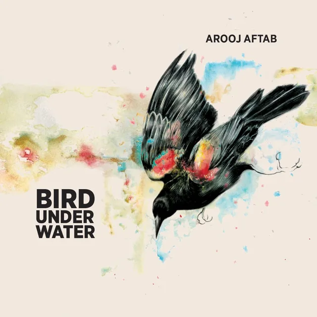 Bird Under Water 封面