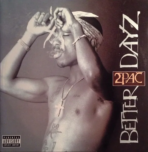 Better Dayz 封面