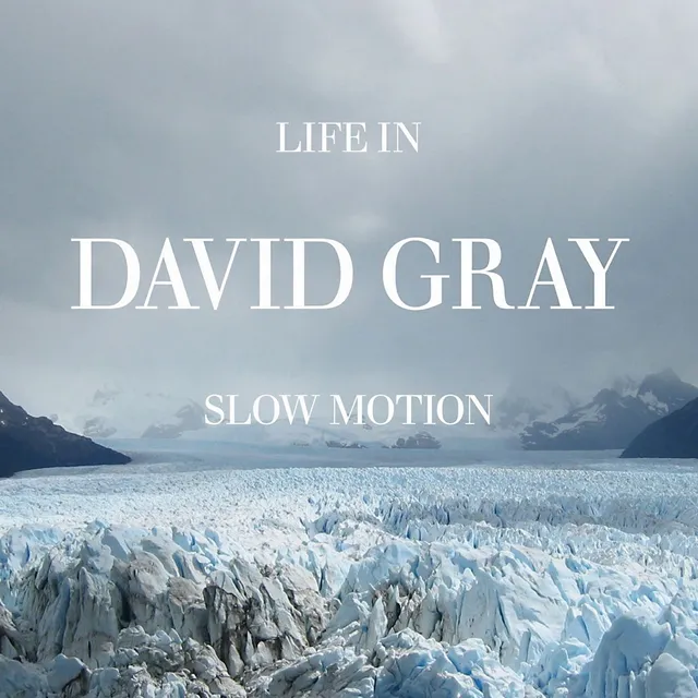 Life in Slow Motion 封面