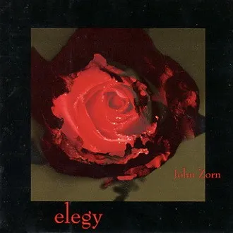 Elegy 封面