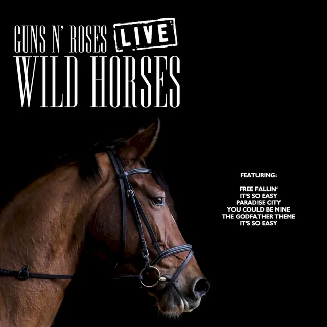 Wild Horses 封面