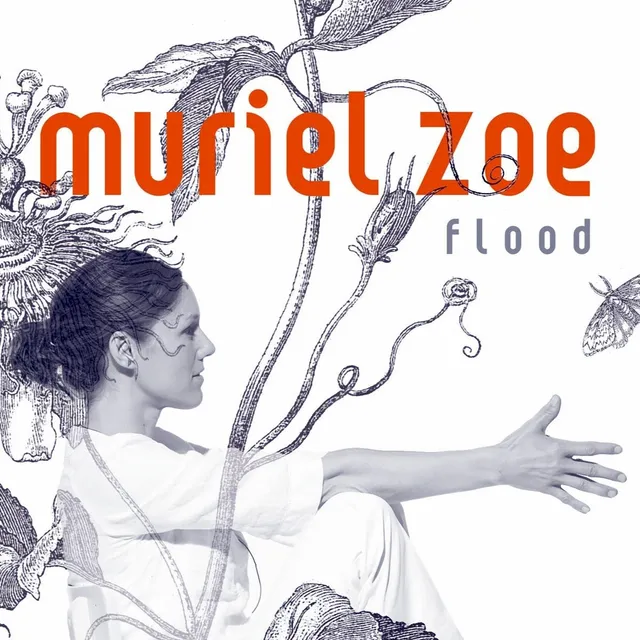 Flood cover