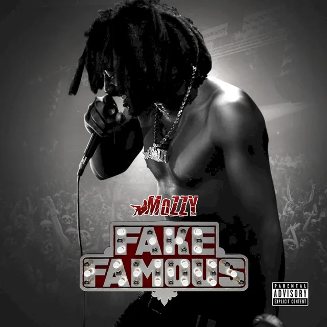 Fake Famous 封面